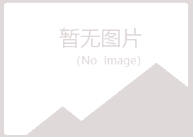 盈江县夏青化学有限公司